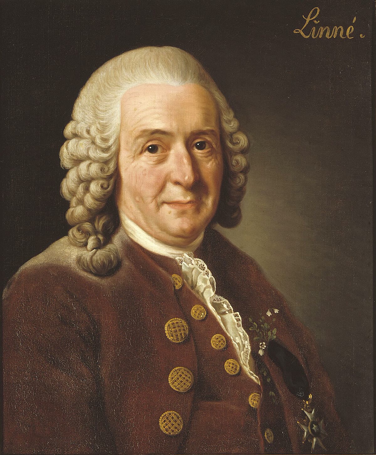 Carl Linnaeus (1707–1778), wiens Species Plantarum van 1753 en tiende uitgave van de Systema Naturae van 1758 de uitgangspunten van de botanische en de zoölogische naamgeving zijn. Portret door Alexander Roslin, 1775.