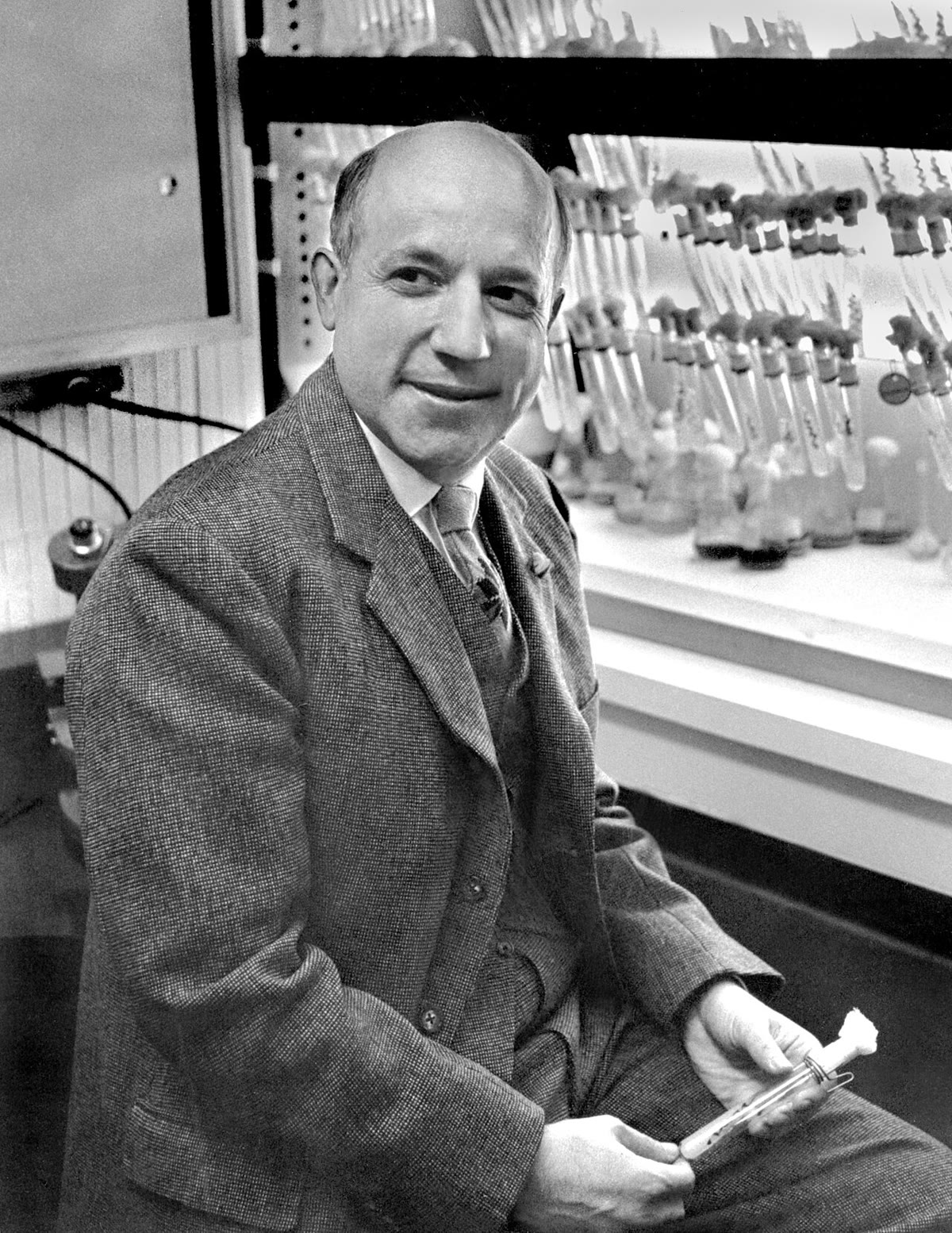 Melvin Calvin (1911–1997), que com Benson traçou o caminho do carbono do CO_2 ao açúcar com carbono radioativo e cromatografia em papel. Fotografia: Lawrence Berkeley Laboratory, domínio público.