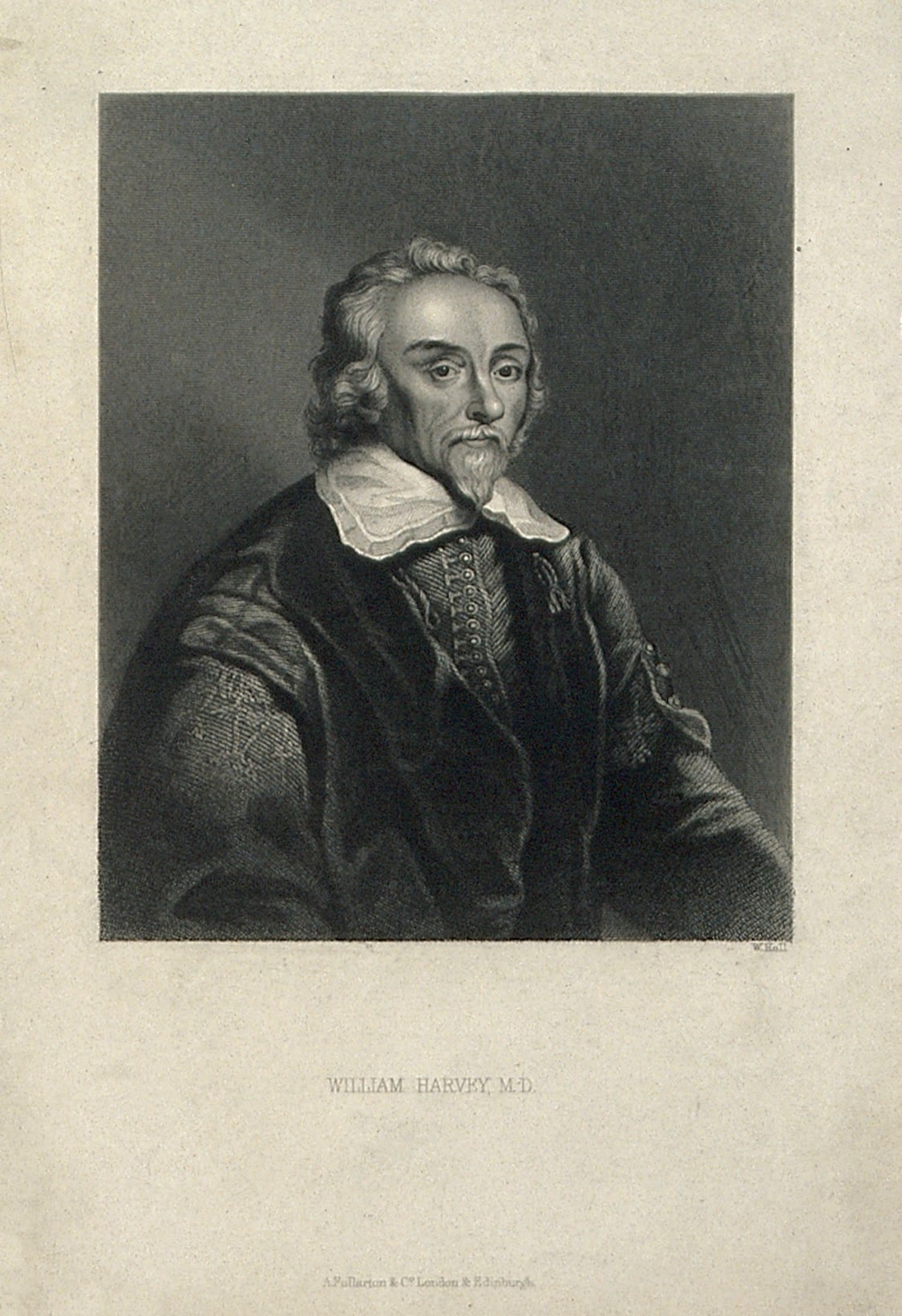 William Harvey, dan plat dari bukunya tahun 1628: vena sebuah lengan bawah yang diikat menggembung di bawah talinya, dan darah yang ditekan menuju tangannya berhenti pada katupnya.
