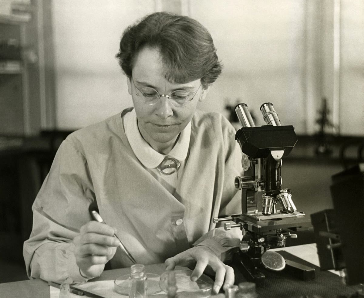 Barbara McClintock, and the kernels that led her to transposable elements: a purple pigment gene switched off by an inserted element and switched back on, cell by cell, when the element jumps out, leaving speckles and sectors.