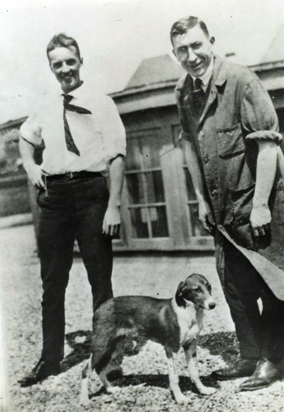 À esquerda: Frederick Banting e Charles Best no telhado do prédio da faculdade de medicina em Toronto, por volta de 1924, com um dos cães dos experimentos da insulina (fotografia em domínio público). À direita: uma ilhota de Langerhans, com células  produtoras de insulina no centro e células  de glucagon na borda, num mar de ácinos exócrinos.