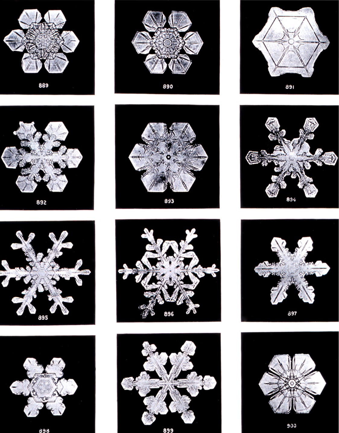 À gauche : cristaux de neige photographiés par Wilson Bentley vers 1902, chacun de symétrie d’ordre six. À droite : objets du quotidien présentant une symétrie de rotation d’ordre trois, six et cinq.